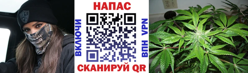 кракен ONION  купить наркотик  Петухово  Бошки марихуана конопля 